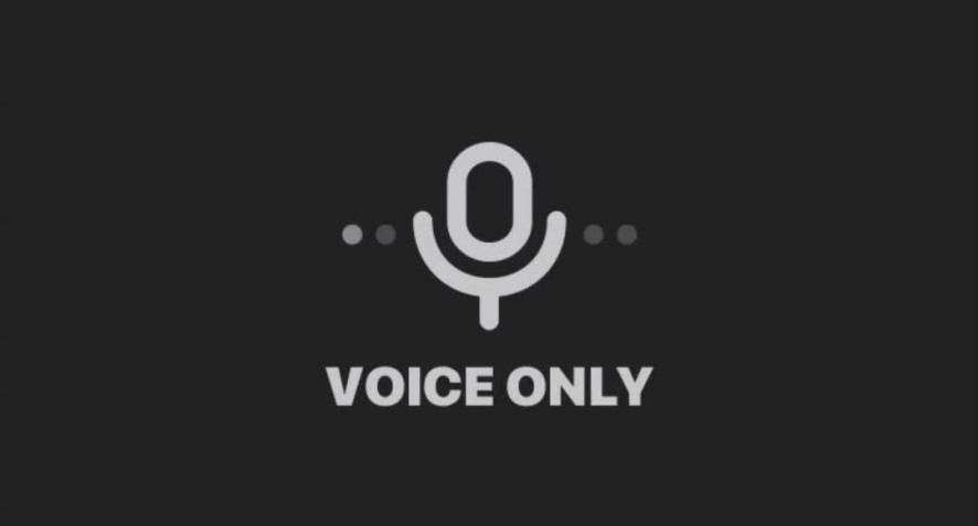 Microphone symbol and the words Voice Only
